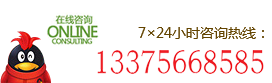 +133-7566-8585